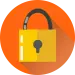 Free lock security key vector